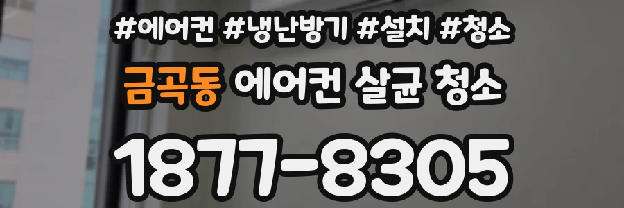금곡동 에어컨 살균 청소