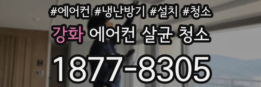 강화 에어컨 살균 청소