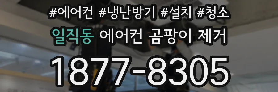 일직동 에어컨 곰팡이 제거
