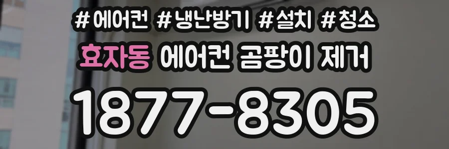 효자동 에어컨 곰팡이 제거