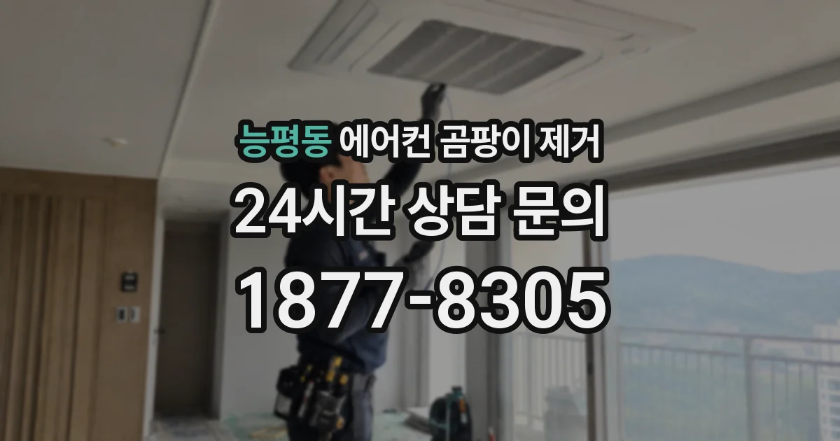 능평동 에어컨 곰팡이 제거
