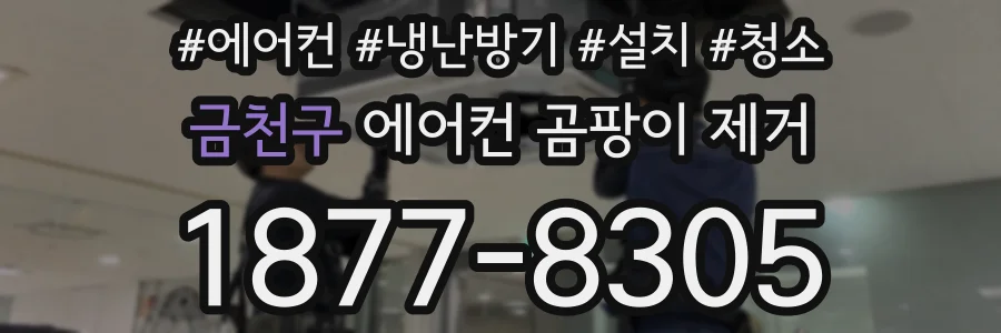 금천구 에어컨 곰팡이 제거