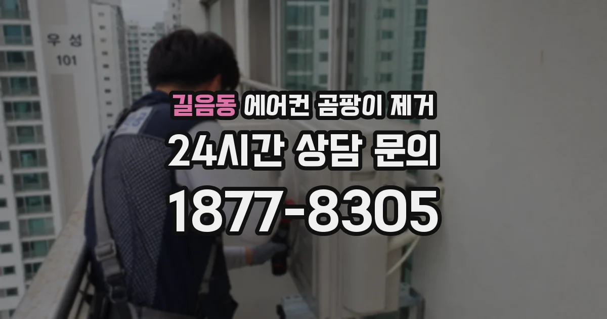 길음동 에어컨 곰팡이 제거