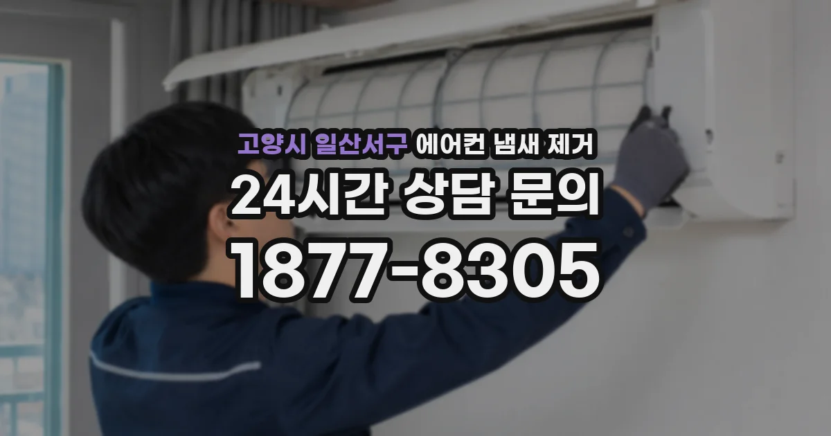 고양시 일산서구 에어컨 냄새 제거