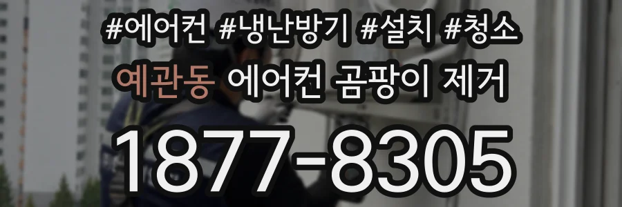 예관동 에어컨 곰팡이 제거