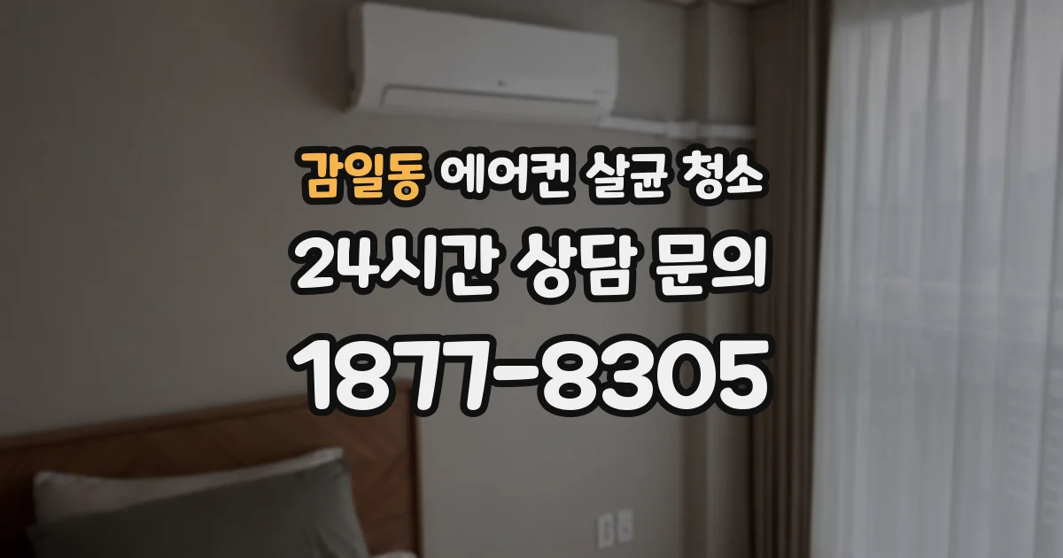 감일동 에어컨 살균 청소