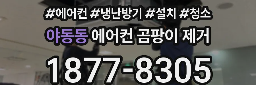 야동동 에어컨 곰팡이 제거
