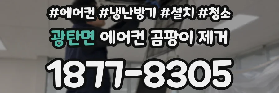 광탄면 에어컨 곰팡이 제거