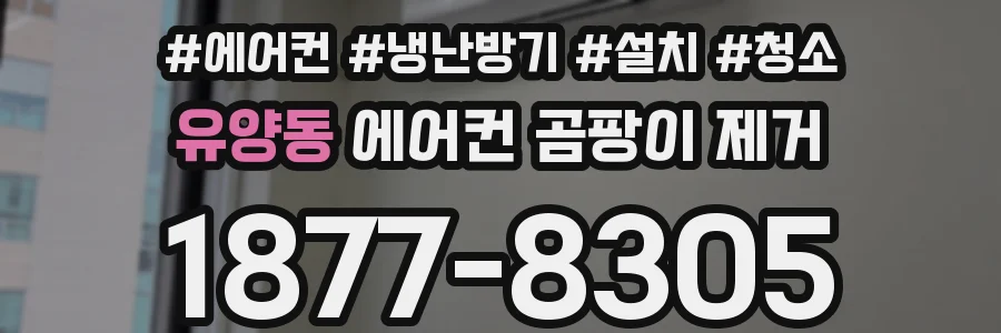 유양동 에어컨 곰팡이 제거