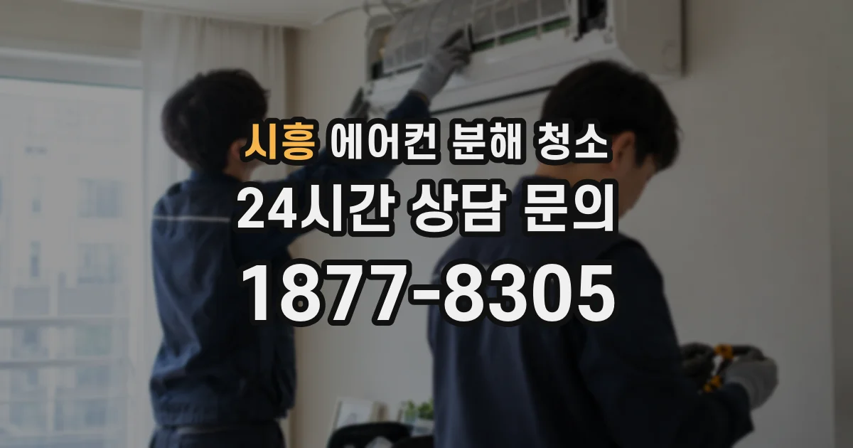 시흥 에어컨 분해 청소