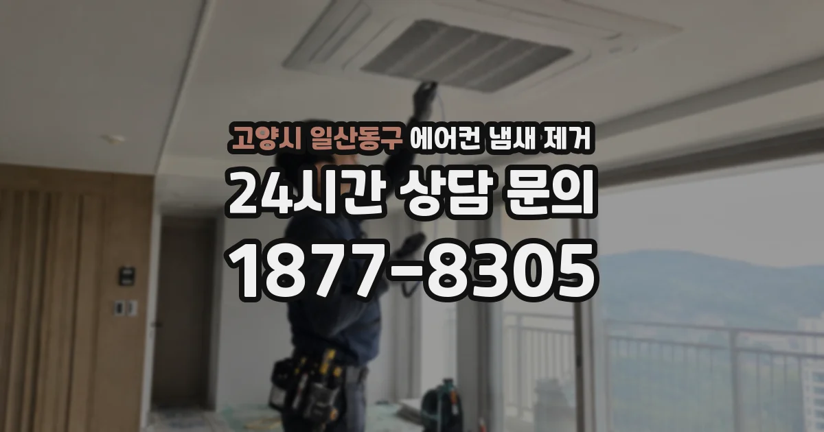 고양시 일산동구 에어컨 냄새 제거