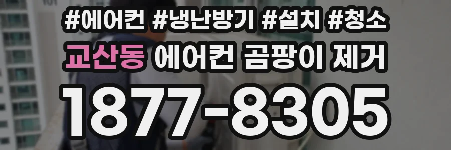 교산동 에어컨 곰팡이 제거