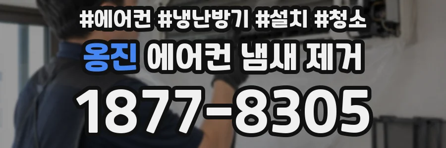 옹진 에어컨 냄새 제거