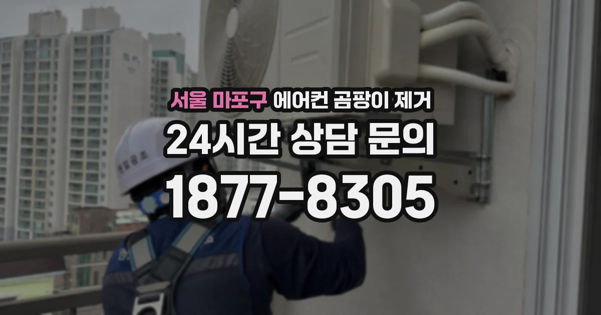 서울 마포구 에어컨 곰팡이 제거