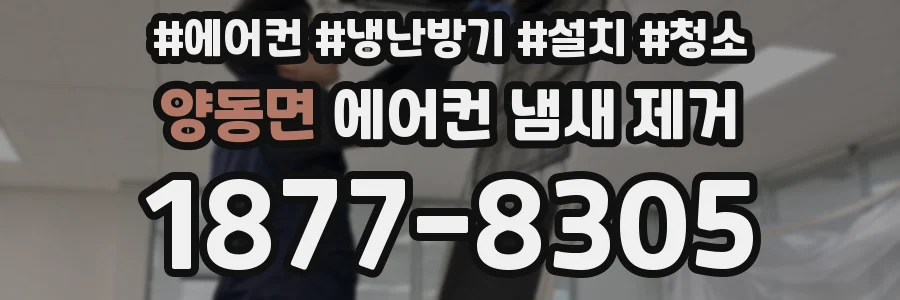 양동면 에어컨 냄새 제거