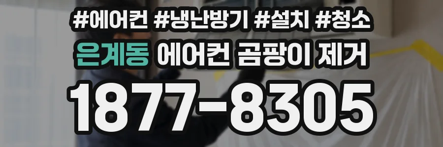 은계동 에어컨 곰팡이 제거
