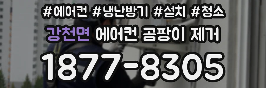 강천면 에어컨 곰팡이 제거