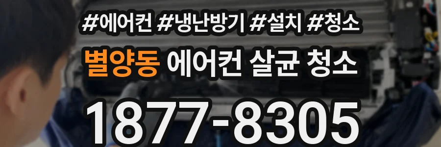 별양동 에어컨 살균 청소