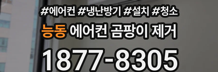 능동 에어컨 곰팡이 제거