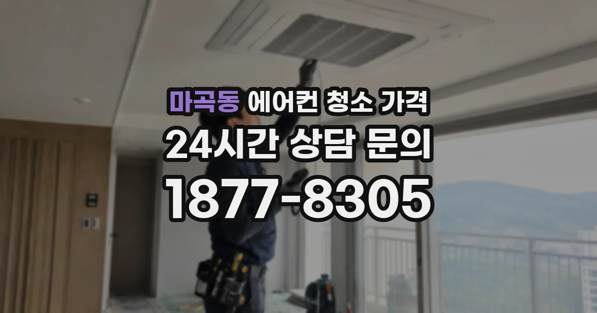 마곡동 에어컨 청소 가격