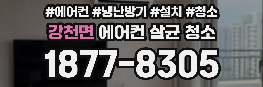 강천면 에어컨 살균 청소