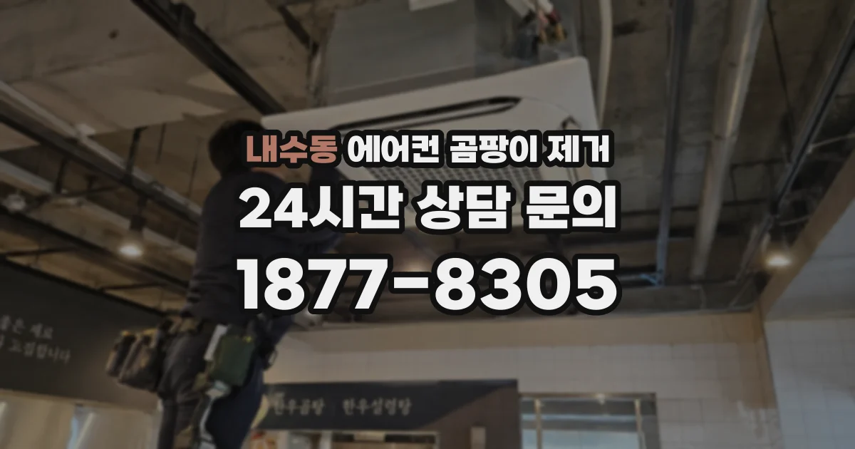 내수동 에어컨 곰팡이 제거