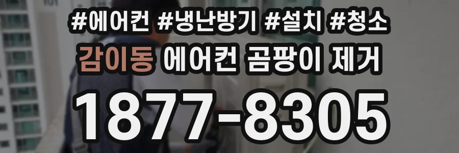 감이동 에어컨 곰팡이 제거