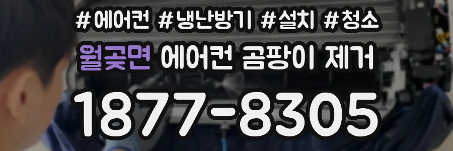 월곶면 에어컨 곰팡이 제거