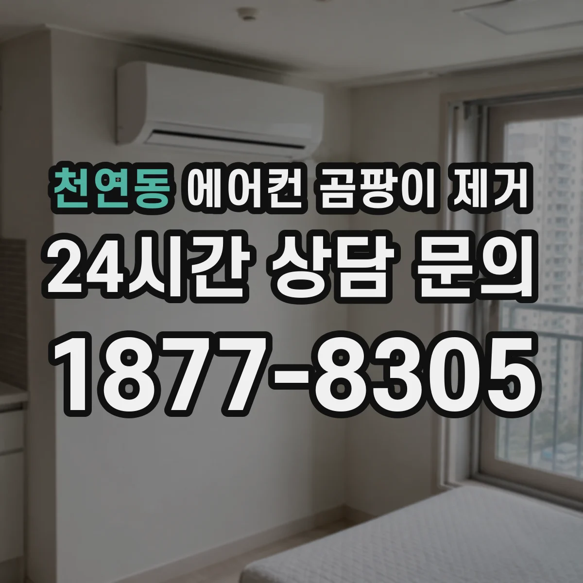 천연동 에어컨 곰팡이 제거