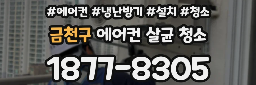 금천구 에어컨 살균 청소