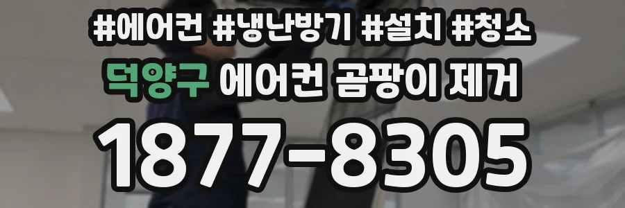 덕양구 에어컨 곰팡이 제거
