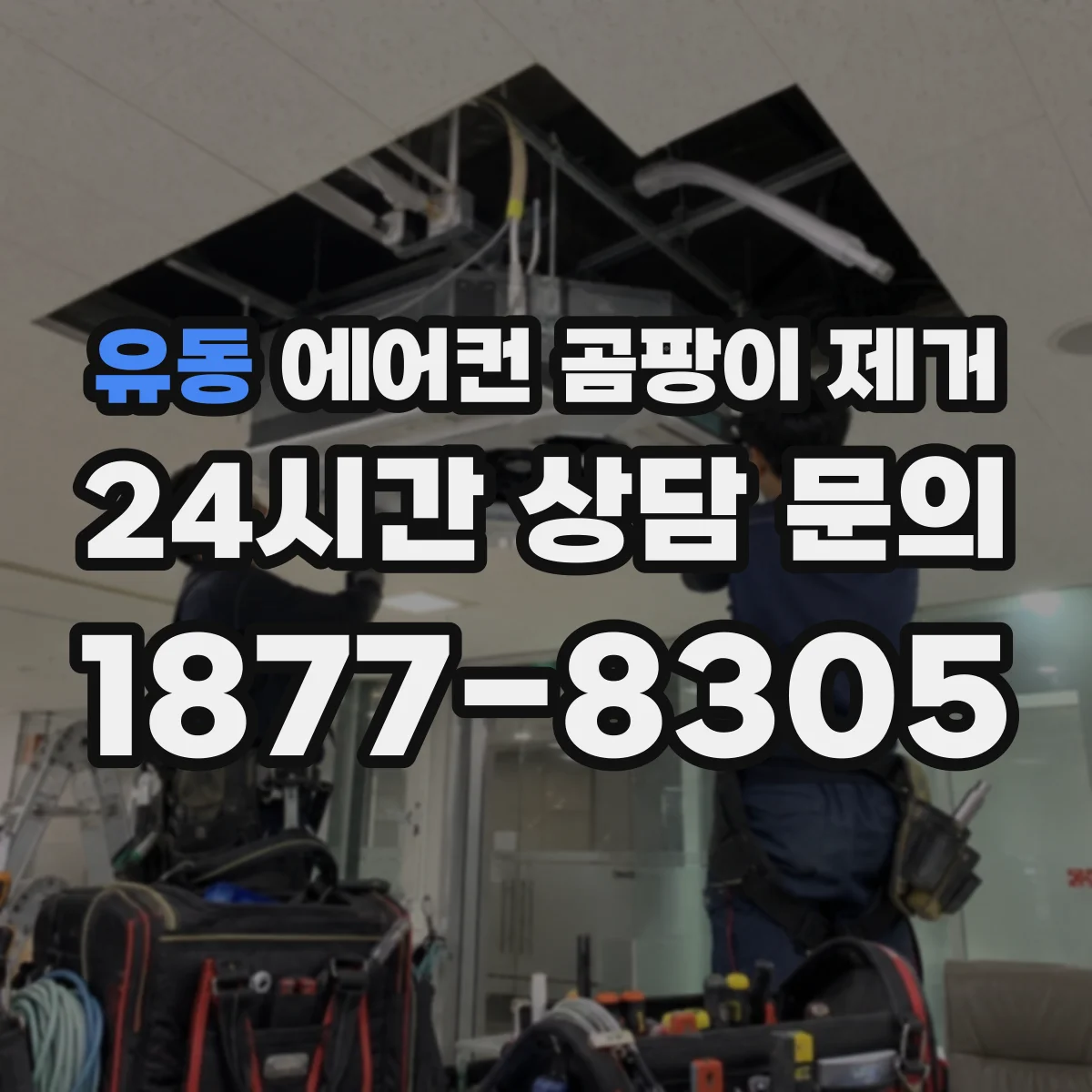 유동 에어컨 곰팡이 제거