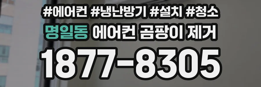 명일동 에어컨 곰팡이 제거
