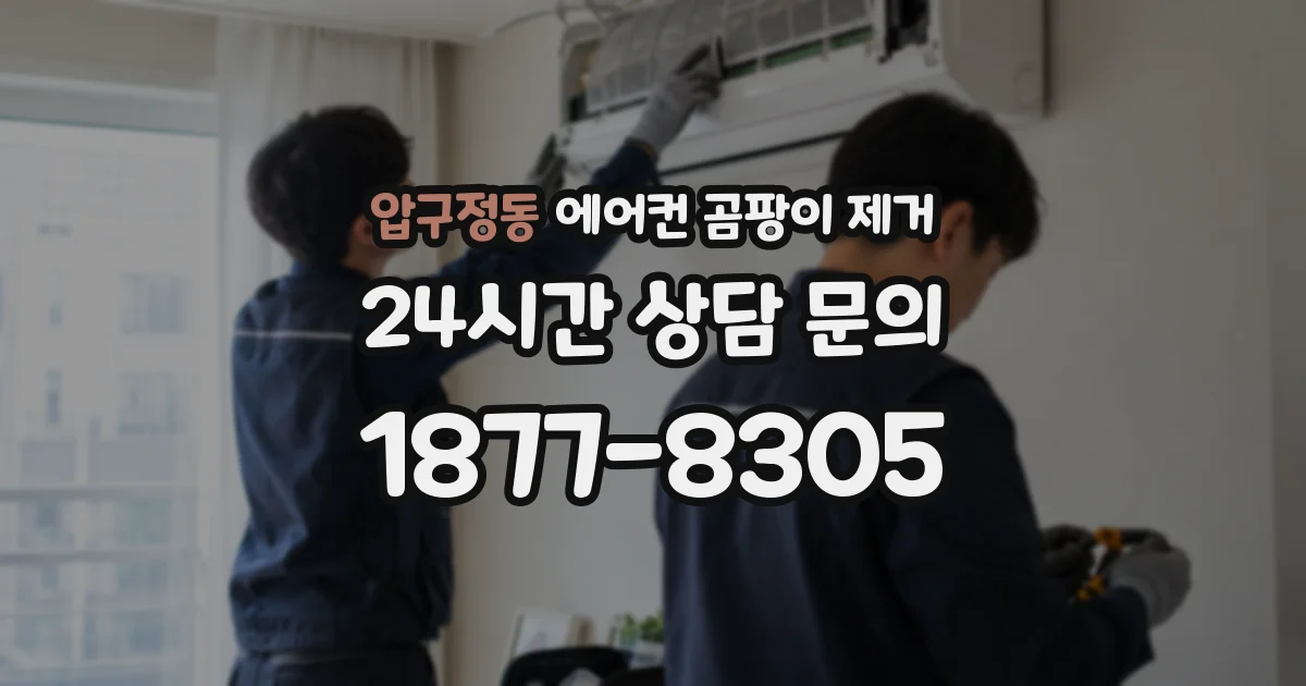 압구정동 에어컨 곰팡이 제거