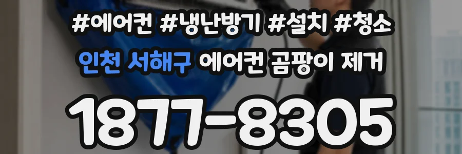 인천 서해구 에어컨 곰팡이 제거