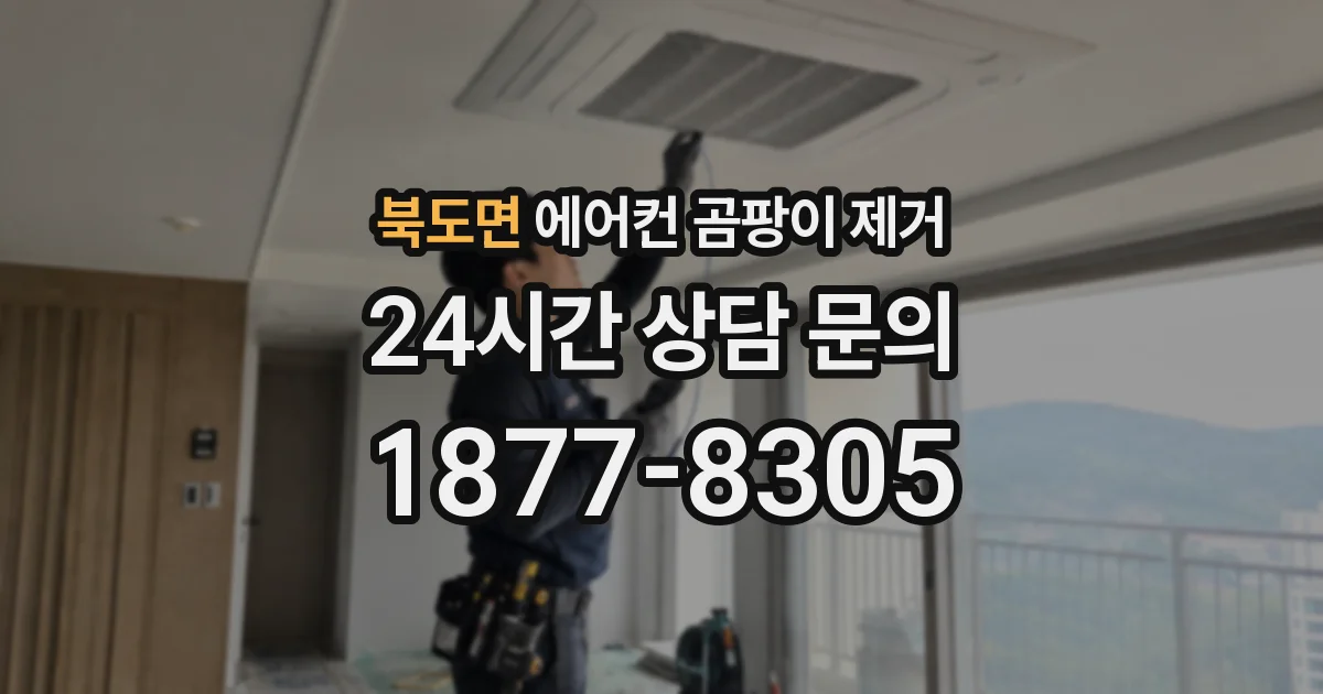 북도면 에어컨 곰팡이 제거