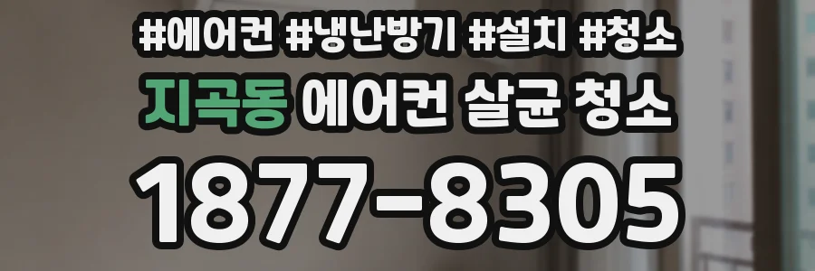 지곡동 에어컨 살균 청소