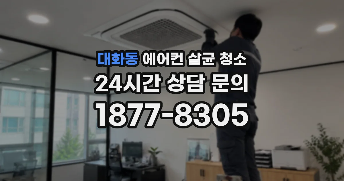대화동 에어컨 살균 청소