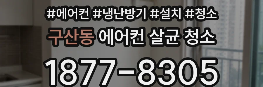 구산동 에어컨 살균 청소