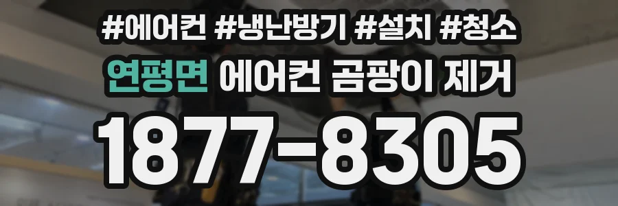 연평면 에어컨 곰팡이 제거