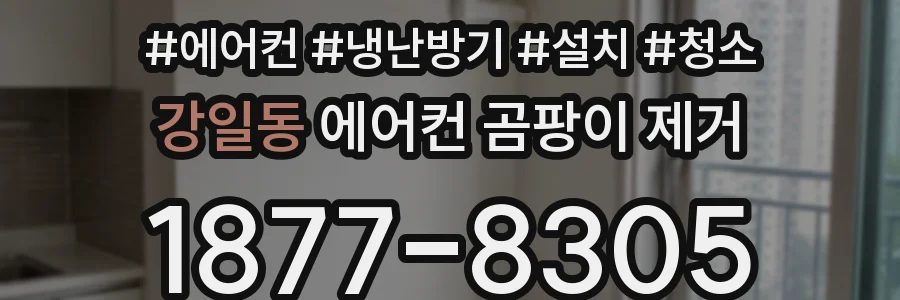 강일동 에어컨 곰팡이 제거