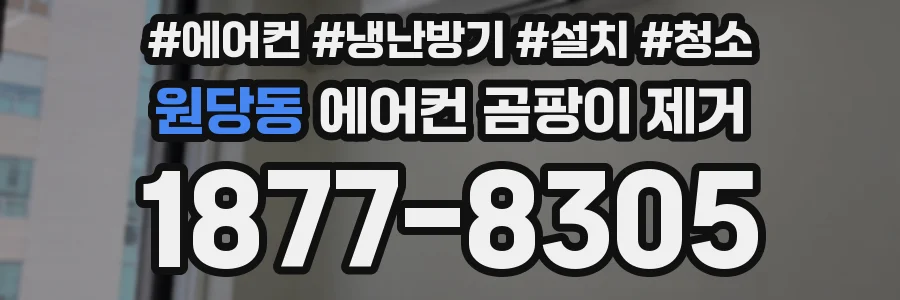 원당동 에어컨 곰팡이 제거