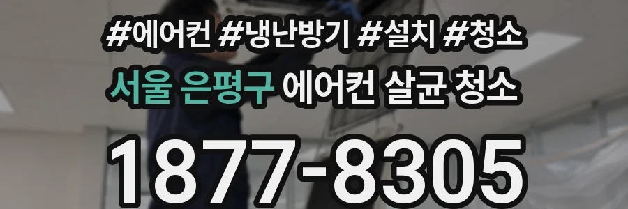 서울 은평구 에어컨 살균 청소