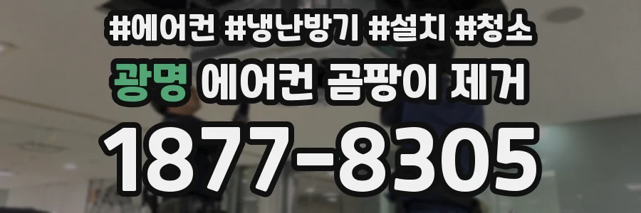 광명 에어컨 곰팡이 제거