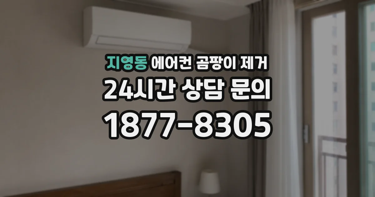 지영동 에어컨 곰팡이 제거