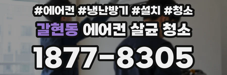 갈현동 에어컨 살균 청소