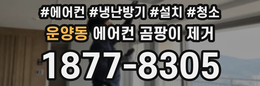 운양동 에어컨 곰팡이 제거