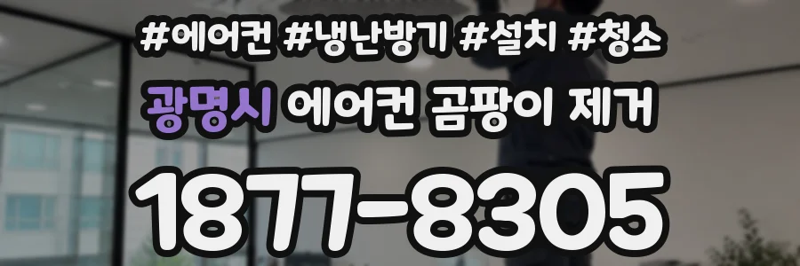 광명시 에어컨 곰팡이 제거