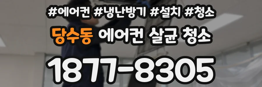 당수동 에어컨 살균 청소