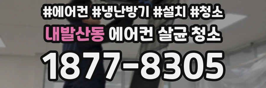 내발산동 에어컨 살균 청소